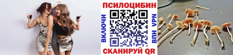 что такое наркотик  Олёкминск  Псилоцибиновые грибы GOLDEN TEACHER 